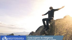 Curso superior de inteligencia emocional para combatir el estrés